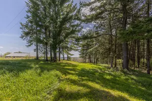 S3565 Rooster Ridge Ln, Buffalo, WI 54629 - Photo 74