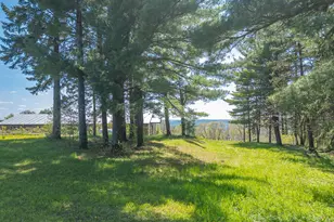 S3565 Rooster Ridge Ln, Buffalo, WI 54629 - Photo 70