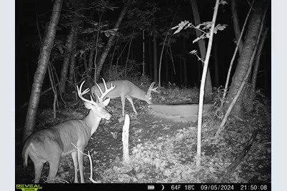 N2487  Nuttelman Rd, La Crosse, WI 54601 - Photo 90