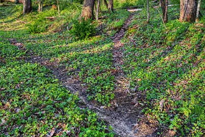 N2487  Nuttelman Rd, La Crosse, WI 54601 - Photo 74