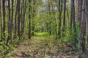 N2487 Nuttelman Rd, Barre, WI 54601 - Photo 62