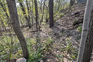 W344S10664 Island View Ln, Eagle, WI 53149 - Photo 46