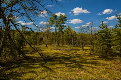 Lt0  10th Ave, Necedah, WI 54646 - Photo 8