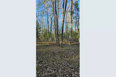 N1057  Borglin Ave, Levis, WI 54456 - Photo 26