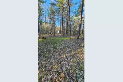 N1057  Borglin Ave, Levis, WI 54456 - Photo 38