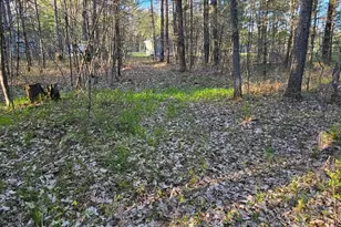 N1057 Borglin Ave, Levis, WI 54456 - Photo 38