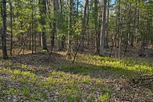 N1057 Borglin Ave, Levis, WI 54456 - Photo 32