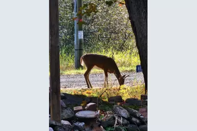 N1057  Borglin Ave, Levis, WI 54456 - Photo 50