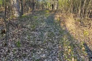 N1057 Borglin Ave, Levis, WI 54456 - Photo 34