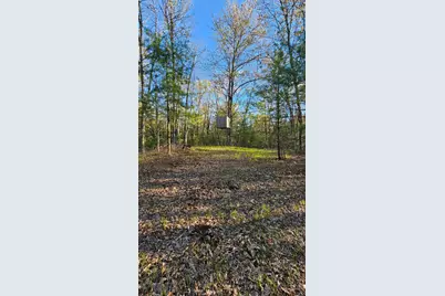 N1057  Borglin Ave, Levis, WI 54456 - Photo 36
