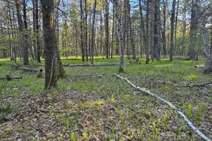 N1057 Borglin Ave, Levis, WI 54456 - Photo 42