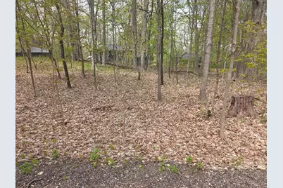 Lt19 &amp; 20  Forest Dr, Geneva, WI 53147 - Photo 2