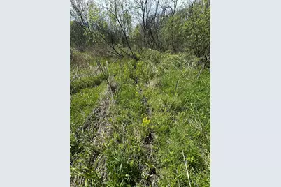 Lot 5  11th St, Galesville, WI 54630 - Photo 4