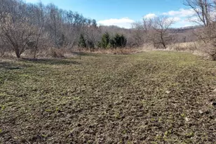 7208 Kate Ave, Leon, WI 54656 - Photo 60