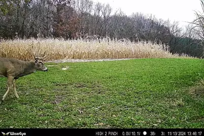 6427  Sand Hill Rd, Pulaski, WI 53506 - Photo 64