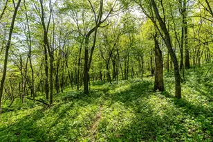 15999 Biba Rd, , WI 53573 - Photo 64