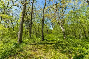 15999 Biba Rd, , WI 53573 - Photo 88