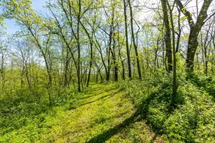15999 Biba Rd, , WI 53573 - Photo 78