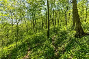 15999 Biba Rd, , WI 53573 - Photo 98