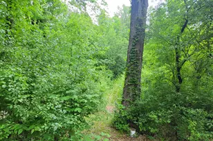1614 Sugar Island Rd, Summit, WI 53066 - Photo 20