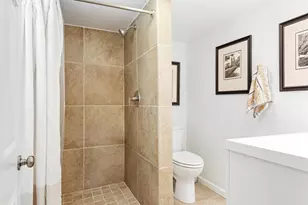 815 E Birch Ave, Whitefish Bay, WI 53217 - Photo 50