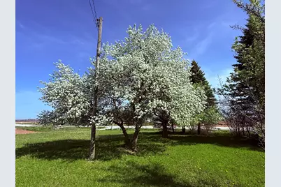 5220  Cth Vv -, Two Rivers, WI 54241 - Photo 10