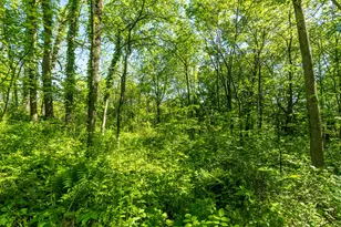 19382 Co Hwy NN, Willow, WI 53581 - Photo 44