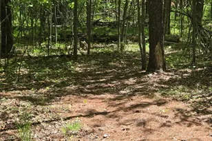 N18708 Short Cut Rd, Pembine, WI 54156 - Photo 24
