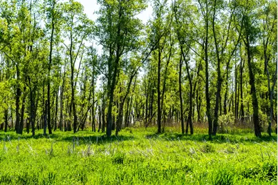 W9006  Forest Ave, Lamartine, WI 54932 - Photo 68