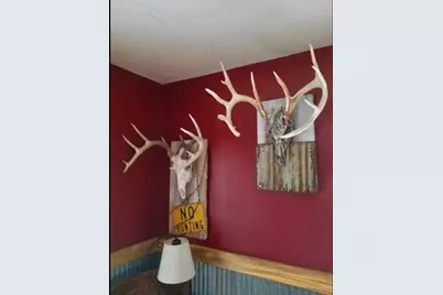 W9006  Forest Ave, Lamartine, WI 54932 - Photo 64