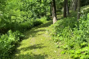 15315 County Rd 25, Mount Vernon, MN 55969 - Photo 38