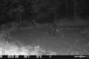 S656 Redemption Ln, Christiana, WI 54667 - Photo 16