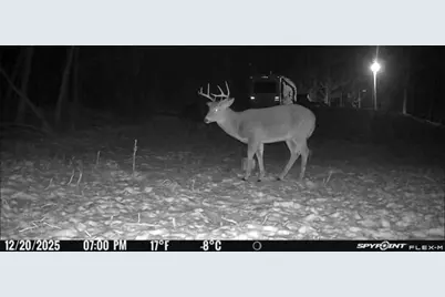 S656  Redemption Ln, Christiana, WI 54667 - Photo 14