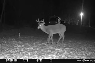S656 Redemption Ln, Christiana, WI 54667 - Photo 14