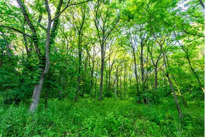 825  County Road F -, Moscow, WI 53544 - Photo 36