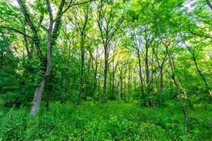 825 County Road F, Moscow, WI 53544 - Photo 36