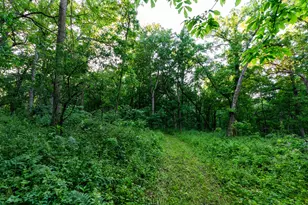 825 County Road F, Moscow, WI 53544 - Photo 82