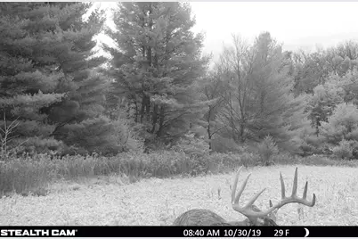 825  County Road F -, Moscow, WI 53544 - Photo 56