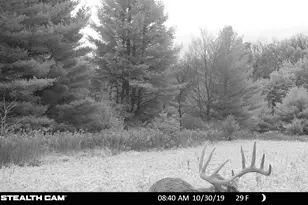 825 County Road F, Moscow, WI 53544 - Photo 56