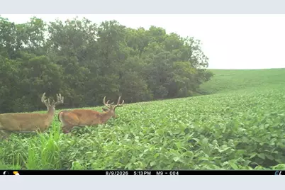 825  County Road F -, Moscow, WI 53544 - Photo 10