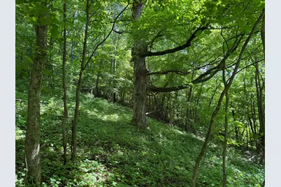 E12950  County Road D -, Stark, WI 54639 - Photo 28
