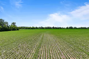 29224 Mt Tom Rd, Burlington, WI 53105 - Photo 28