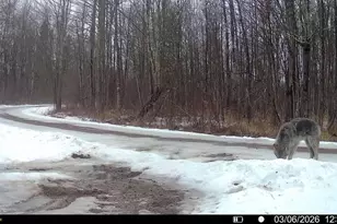 N1742 County Rd N, Kennan, WI 54537 - Photo 24