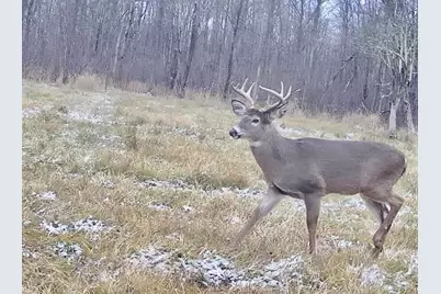 N1742  County Road N -, Kennan, WI 54537 - Photo 22