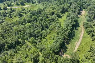 N4016 State Hwy 54 -, Irving, WI 54615 - Photo 62