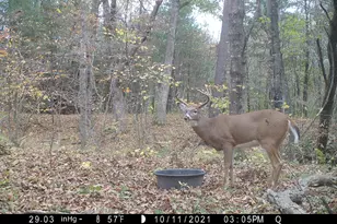 N4016 State Hwy 54 -, Irving, WI 54615 - Photo 20