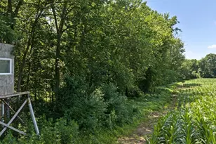 N4016 State Hwy 54 -, Irving, WI 54615 - Photo 66