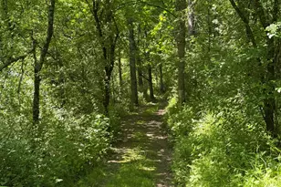 S7750 Carter Valley Ln, Kickapoo, WI 54652 - Photo 26