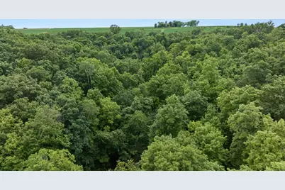 00 N Lyster Rd, Viroqua, WI 54652 - Photo 16