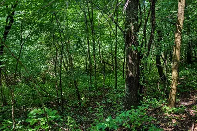 00 N Lyster Rd, Viroqua, WI 54652 - Photo 24